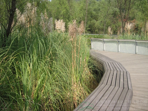 电竞比赛押注app