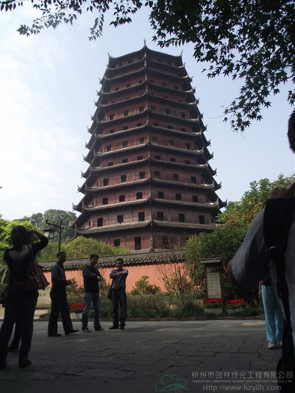 电竞比赛押注app