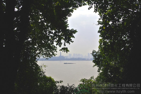 电竞比赛押注app