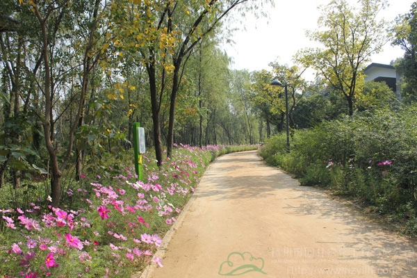 电竞比赛押注app