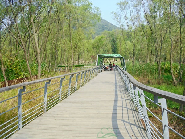 电竞比赛押注app