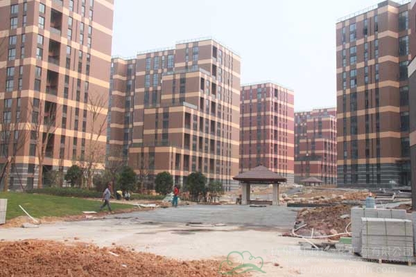 电竞比赛押注app