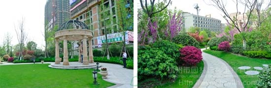 电竞比赛押注app