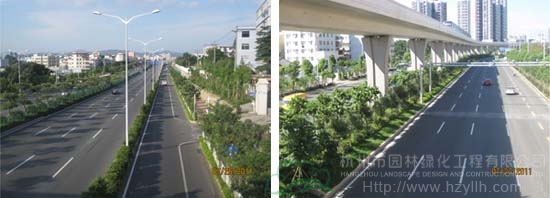 电竞比赛押注app