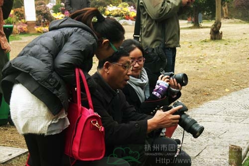 电竞比赛押注app