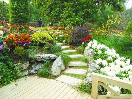 电竞比赛押注app