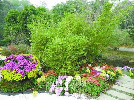 电竞比赛押注app