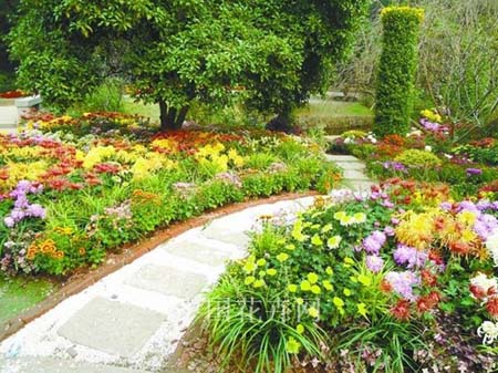 电竞比赛押注app