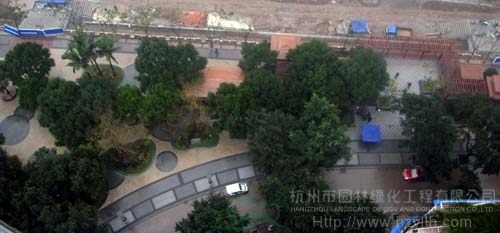 电竞比赛押注app