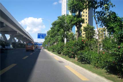 电竞比赛押注app