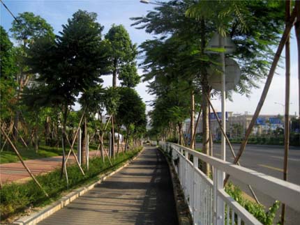 电竞比赛押注app