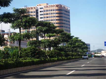 电竞比赛押注app