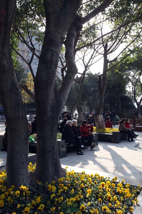 电竞比赛押注app