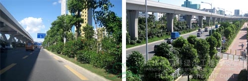 电竞比赛押注app