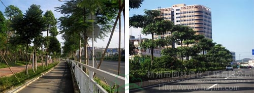 电竞比赛押注app