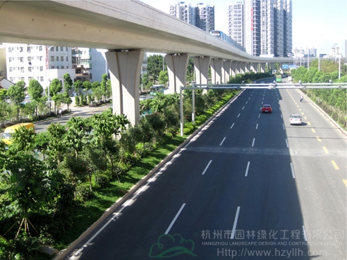 电竞比赛押注app