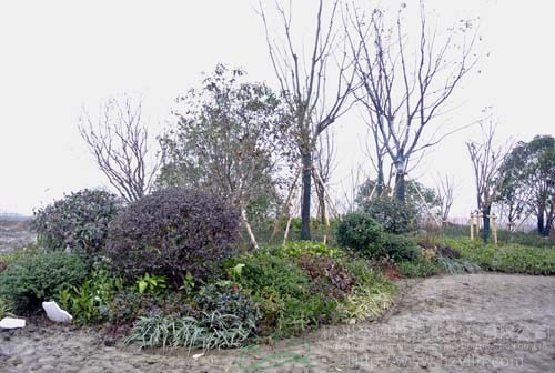 电竞比赛押注app