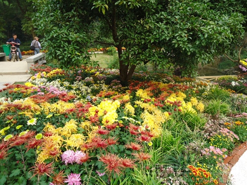 电竞比赛押注app