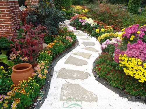 电竞比赛押注app