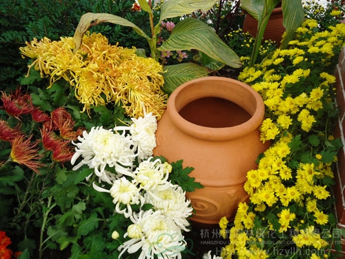 电竞比赛押注app