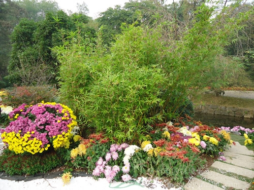 电竞比赛押注app