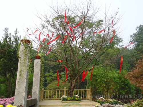 电竞比赛押注app