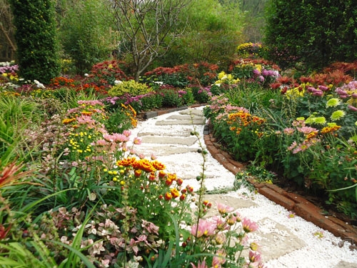 电竞比赛押注app