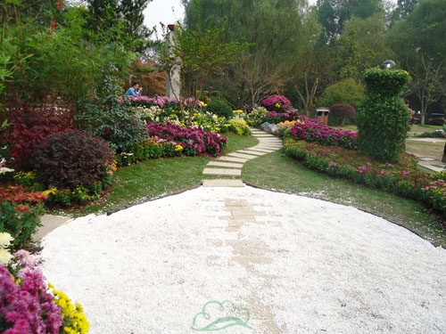 电竞比赛押注app