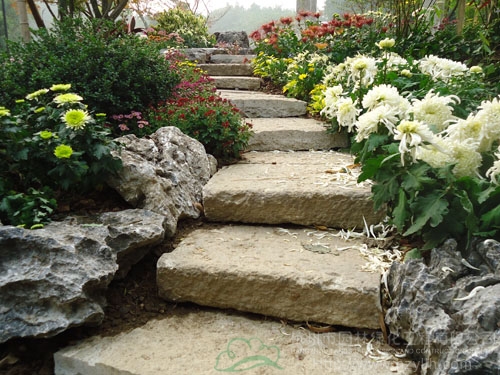 电竞比赛押注app