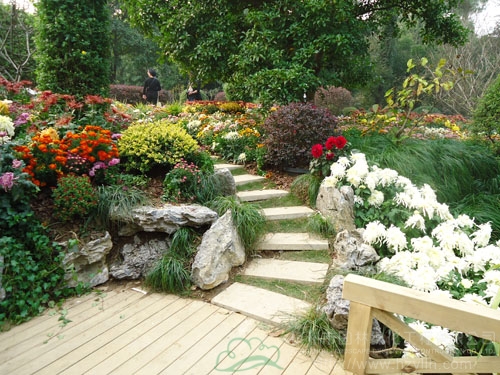 电竞比赛押注app