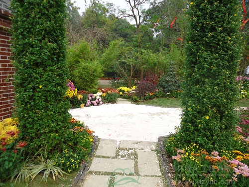 电竞比赛押注app