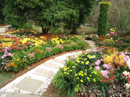 电竞比赛押注app