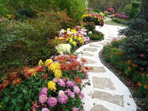 电竞比赛押注app