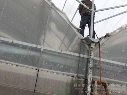 电竞比赛押注app