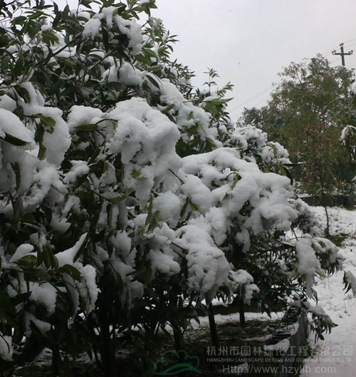 电竞比赛押注app