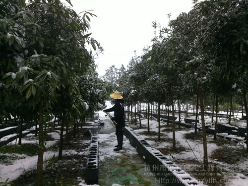 电竞比赛押注app