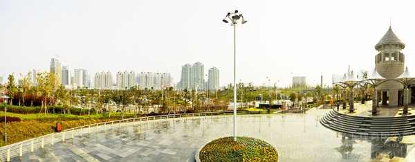 电竞比赛押注app