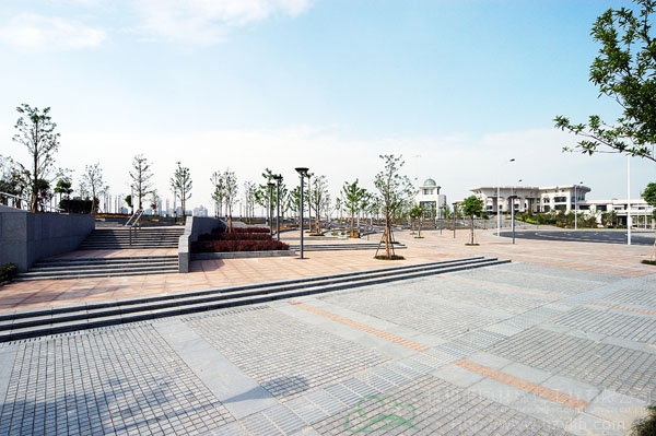 电竞比赛押注app