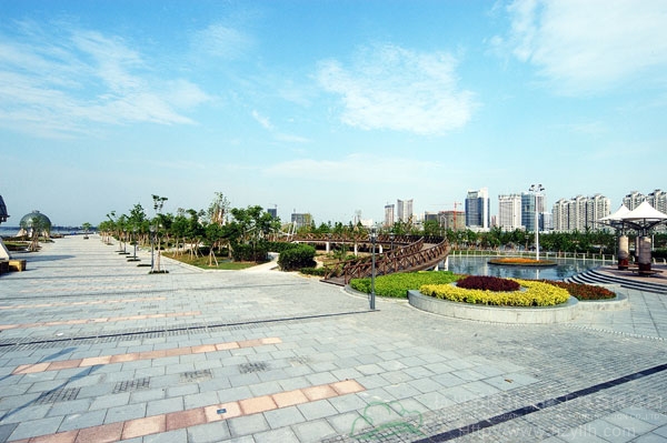 电竞比赛押注app