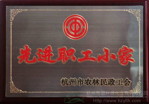 电竞比赛押注app