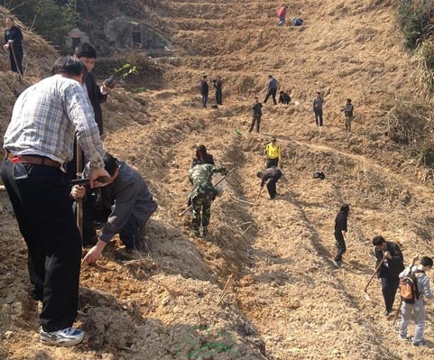 电竞比赛押注app