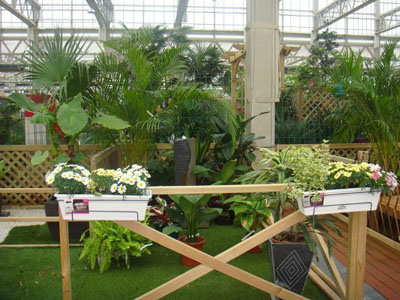 电竞比赛押注app