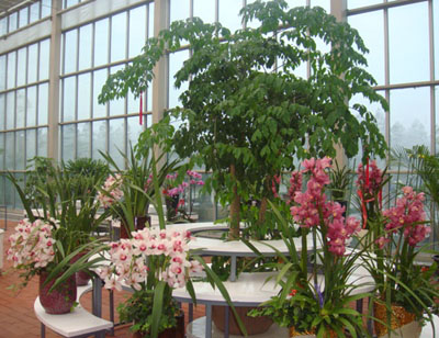 电竞比赛押注app