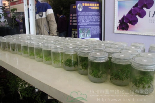 电竞比赛押注app