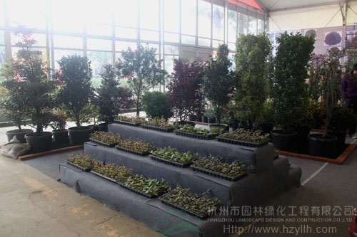 电竞比赛押注app