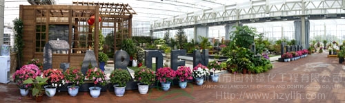 电竞比赛押注app