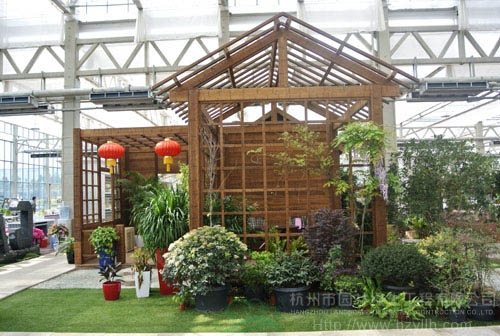 电竞比赛押注app