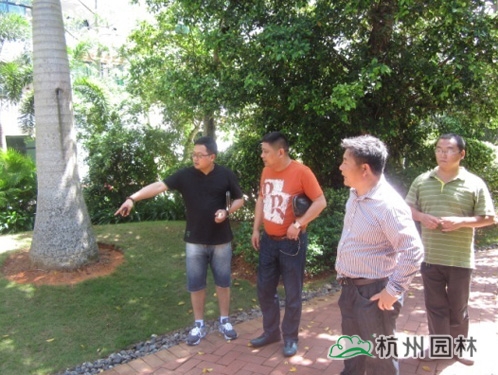 电竞比赛押注app