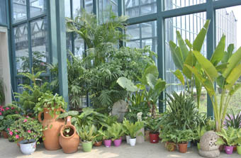 电竞比赛押注app