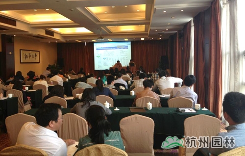 电竞比赛押注app